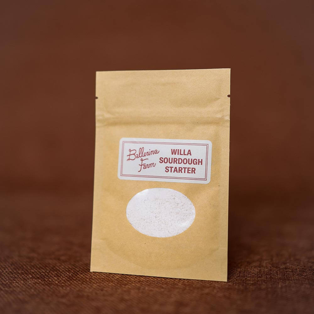 Sourdough Essentials